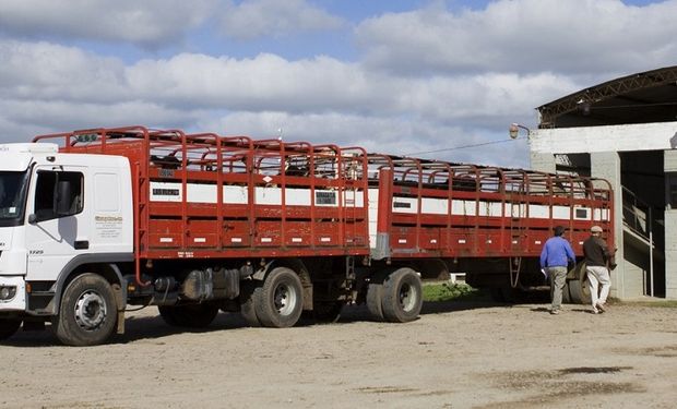 El Senasa busca erradicar el transporte ilegal de animales y lanzó un plan de control