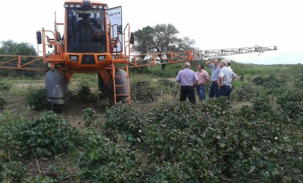 Los herbicidas se suman al mundial online.