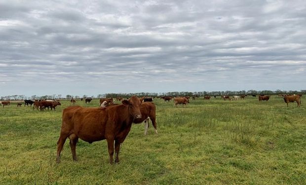 Se espera un otoño con lluvias irregulares 