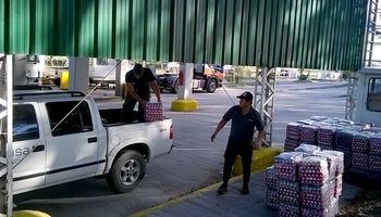 Decomiso de alimentos: detectan 2.040 docenas de huevos irregulares en la Patagonia