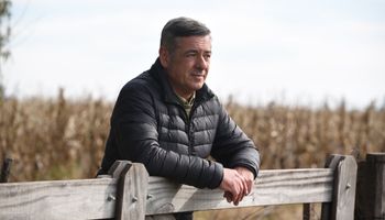 Nicolás Pino y las exportaciones de carne: “Está la idea de endurecer la protesta”