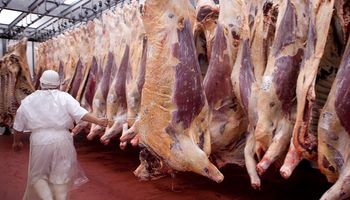 Ucrania vuelve a comprar carne argentina luego de dos años
