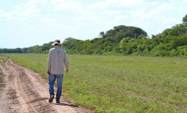Fitosanitarios: Senasa agiliza los controles para la importación, elaboración y el comercio