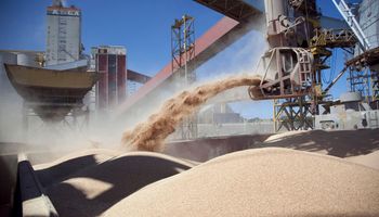 China recorta drásticamente sus importaciones de soja: el nivel más bajo en una década