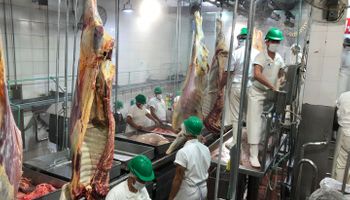 Trabajadores de la carne alcanzaron un aumento del 8 % escalonado hasta febrero, además de una suma fija