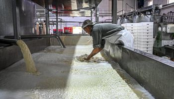 Las industrias lácteas, preocupadas por el impacto del dólar soja