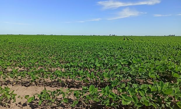 La presencia de un anticiclón complica la humedad en parte de la zona núcleo y genera desecamiento