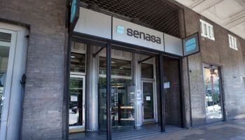 Desregulación en el agro: el Senasa elimina el requisito de habilitaciones municipales y provinciales para sus trámites