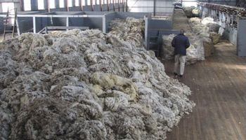 Habilitan la exportación directa de lana sucia desde establecimientos rurales: “Se fortalece la competitividad”