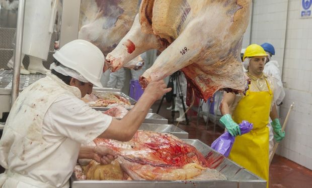 Exportación de carne: el Gobierno dispuso suspender a los frigoríficos que no cumplan el acuerdo de precios
