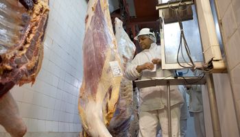 Ganadería: China va por el récord de importaciones de carne vacuna a pesar de los pronósticos