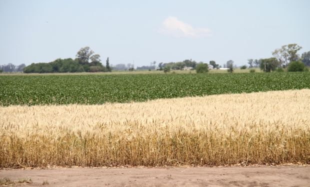 Las comunidades rurales custodian la biodiversidad y la agricultura aparece como una solución
