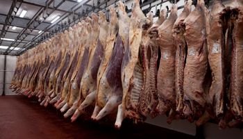 Exportación de carne a Estados Unidos: modifican los criterios para la distribución del cupo