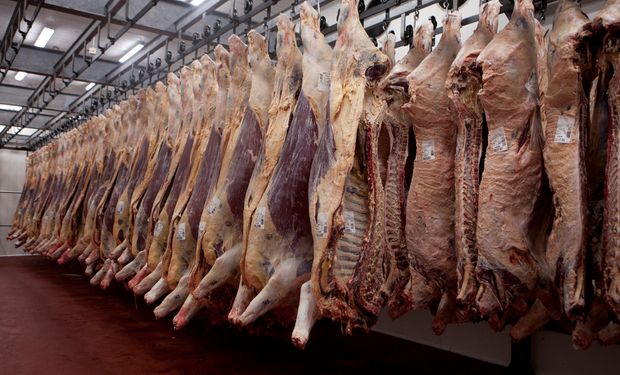Exportación de carne a Estados Unidos: modifican los criterios para la distribución del cupo