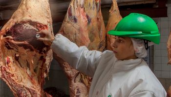 El consumo de carne por habitante cae 15,9 % en lo que va del año