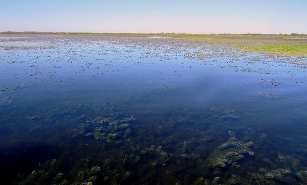 Cuánta superficie de humedales hay en Argentina: la estimaron más de 30 especialistas de todo el país