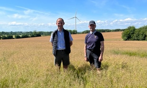 Conheça os agricultores da melhor grama para futebol do mundo