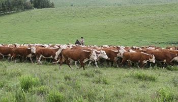 Carne brasileña marcó otro récord