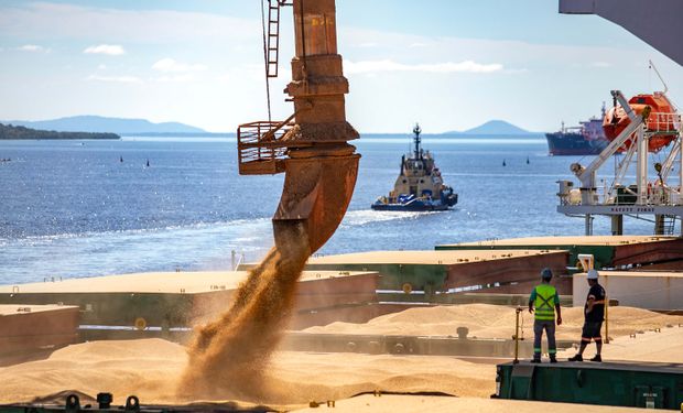 De todo o volume embarcado no período, 6.526.220 toneladas foram de soja em grão, o equivalente a 58.7% do total