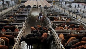 Escasa oferta en el mercado porteño