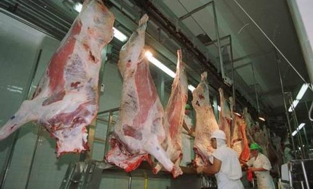 Las exportaciones argentinas de carne bovina a China crecieron 627%