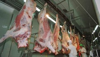 Carne: ofrecen flexibilizar exportaciones