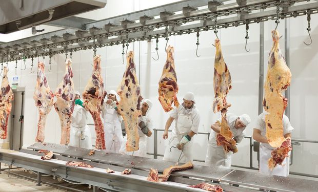 Cayó más del 5 % la faena de vacunos y el consumo de carne rondó en 48 kilos por persona