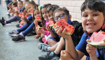 Lei prioriza mulher agricultora na venda de alimento para merenda escolar