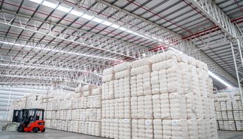 Gigante del agro apuesta a un cultivo regional clave con una importante inversión cerca del puerto: pueden procesar 800 toneladas diarias y aprovechan el 100% de la materia prima