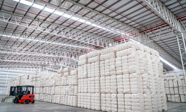Gigante del agro apuesta a un cultivo regional clave con una importante inversión cerca del puerto: pueden procesar 800 toneladas diarias y aprovechan el 100% de la materia prima