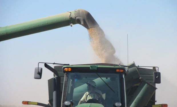 En Chicago ventas técnicas pesaron nuevamente sobre el precio de la soja.