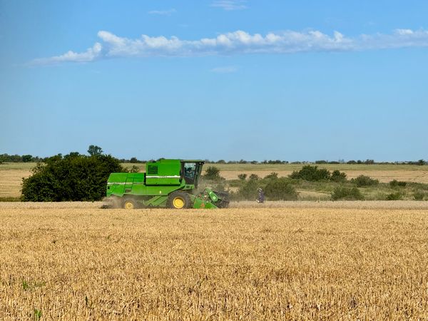 cosecha agroconceptos