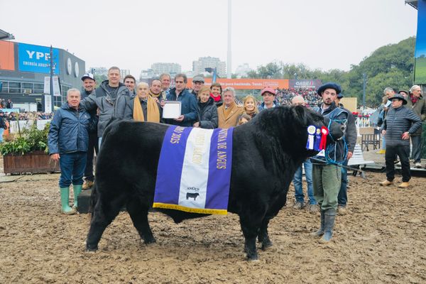 angus argentina