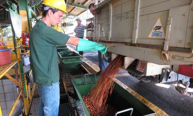 El campo como generador de puestos de trabajo.