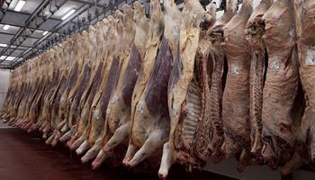 La Plata: habilitan frigorífico para exportación que generará 200 puestos de trabajo