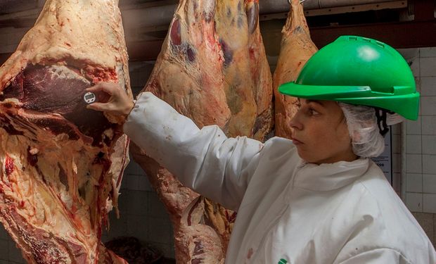 Cayó 4 % la faena de bovinos en 2024: cómo quedó el ranking de frigoríficos