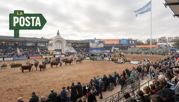 La Posta, en vivo desde La Rural: cómo es ser Gran Campeón, vinos en Palermo y la actualidad del agro