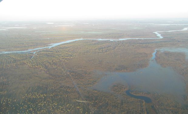 Muchos campos de Argentina siguen secos pese a lluvias recientes