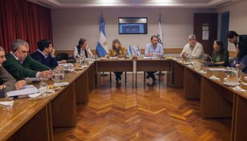 Israel auditó el sistema de faena de carne bovina argentina