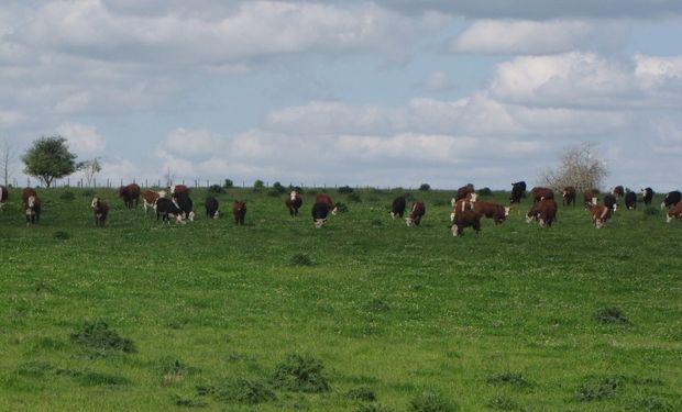 La Cámara Argentina de la Industria de Productos Veterinarios anunció su incorporación a la Red BPA.