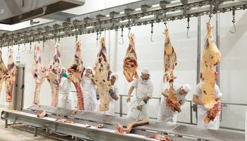 La faena bovina creció 9,2 % en abril y se consolida la producción de carne