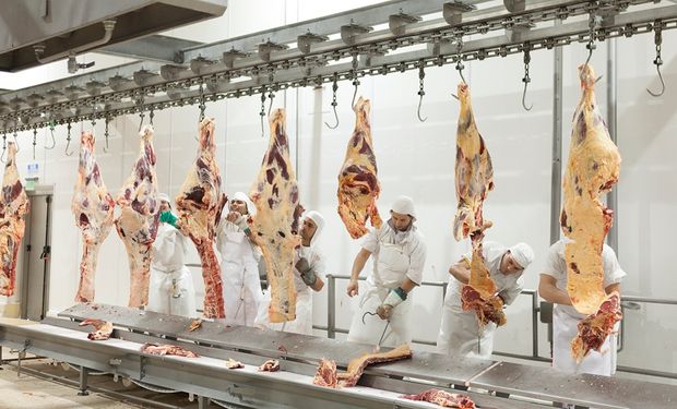 La faena bovina creció 9,2 % en abril y se consolida la producción de carne