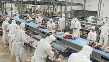 Argentina exportó un 17 % más de carne durante el primer cuatrimestre 