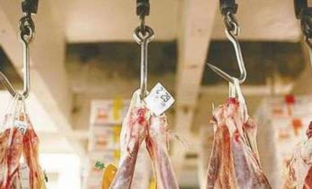 Ingresó a Estados Unidos carne ovina uruguaya