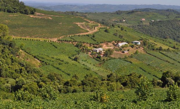 Tributo deve ser pago por pessoas física ou jurídica que possuam, a qualquer título, imóvel rural. (Foto - Embrapa)