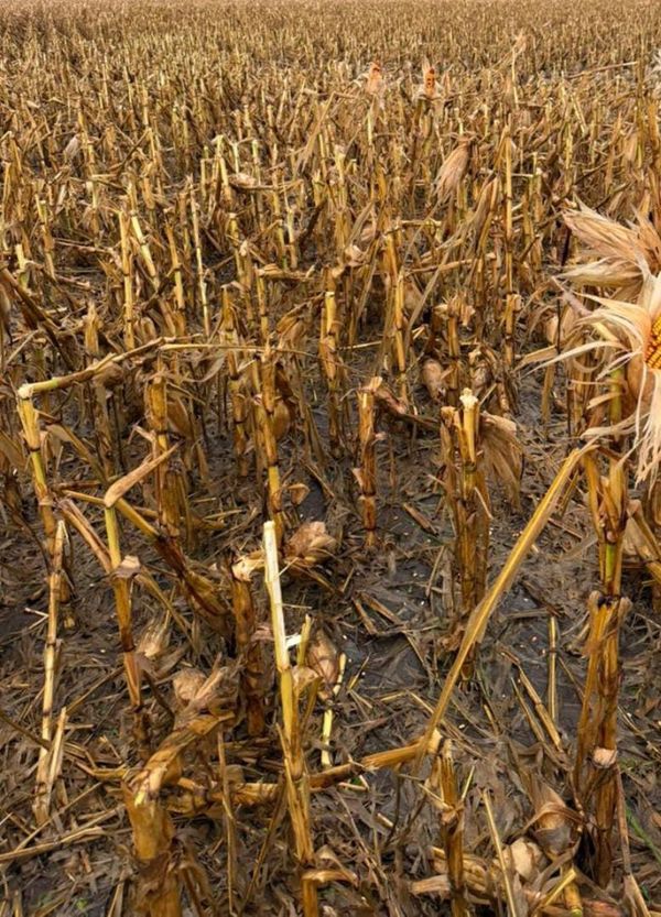 impacto de tormentas