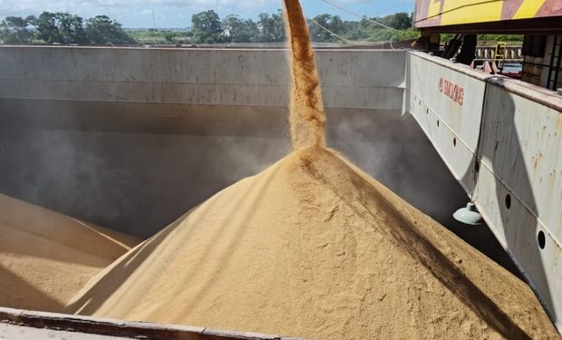 Governo Federal compra mais de 260 mil toneladas de arroz para estoques públicos