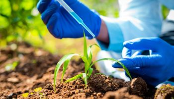 Importação de insumos agrícolas cresce em valor e volume; exportações alcançam recorde dos últimos 14 anos