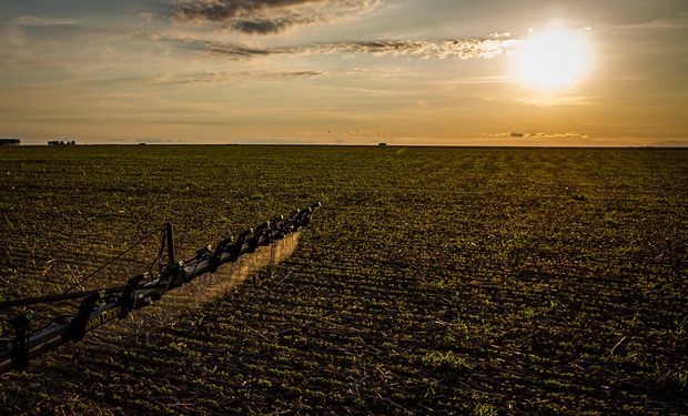 "Está todo frenado": se paraliza la importación de insumos agrícolas y amenaza al abastecimiento interno