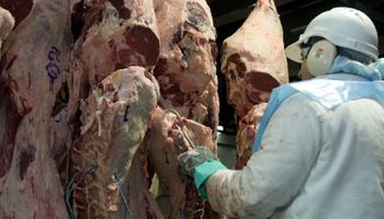 Argentina empezará  a importar carne con hueso desde Uruguay